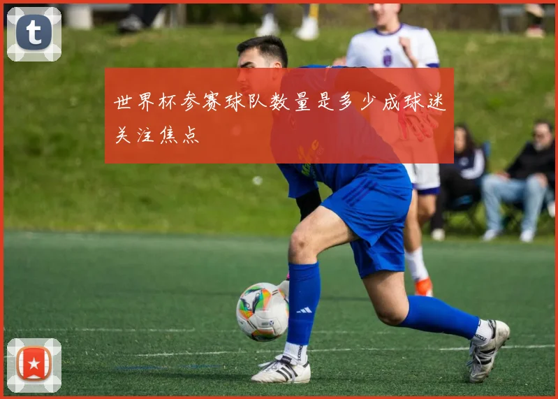 世界杯参赛球队数量是多少成球迷关注焦点