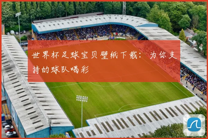 世界杯足球宝贝壁纸下载:为你支持的球队喝彩