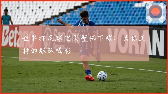 世界杯足球宝贝壁纸下载:为你支持的球队喝彩