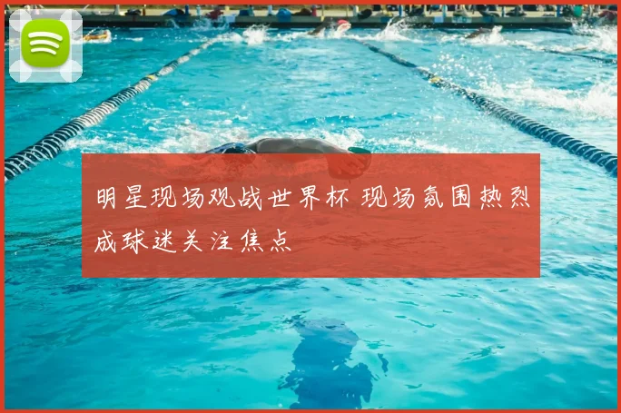 明星现场观战世界杯 现场氛围热烈成球迷关注焦点