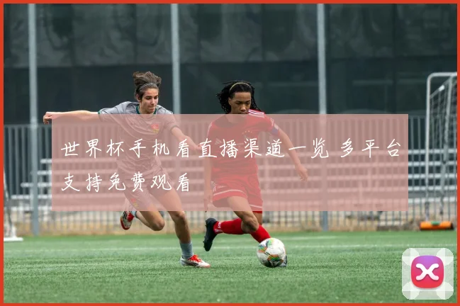 世界杯手机看直播渠道一览 多平台支持免费观看