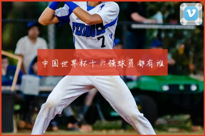 中国世界杯十六强球员都有谁