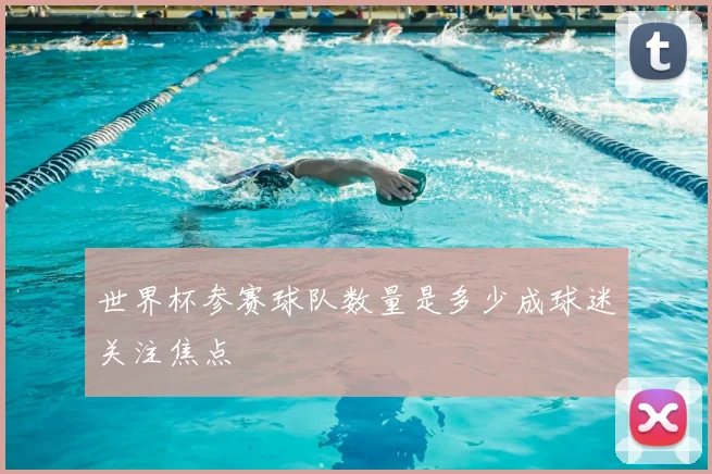世界杯参赛球队数量是多少成球迷关注焦点