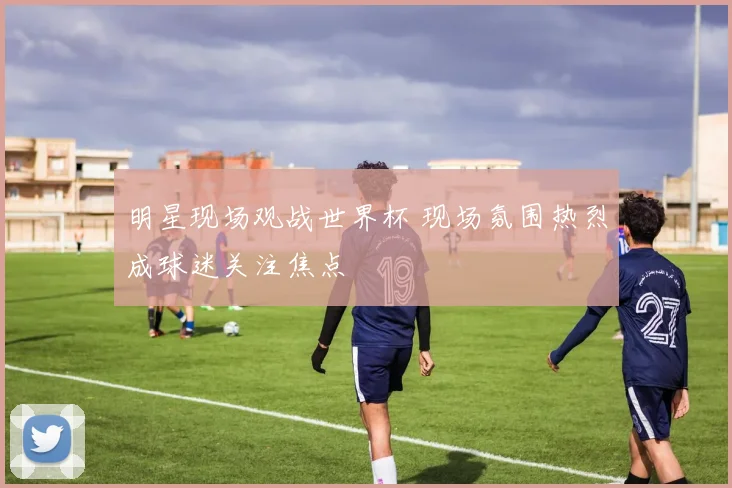 明星现场观战世界杯 现场氛围热烈成球迷关注焦点