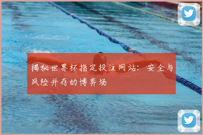 揭秘世界杯指定投注网站:安全与风险并存的博弈场