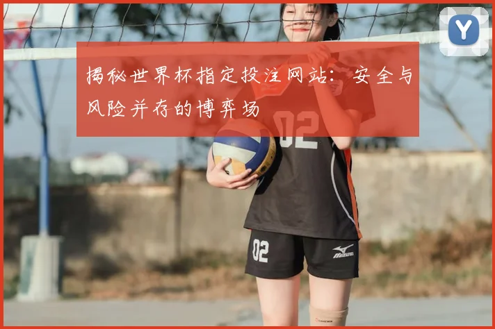 揭秘世界杯指定投注网站:安全与风险并存的博弈场