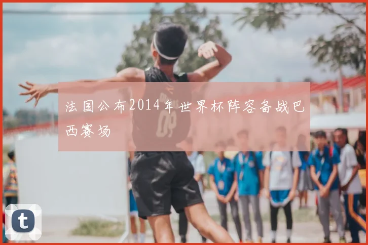 法国公布2014年世界杯阵容备战巴西赛场