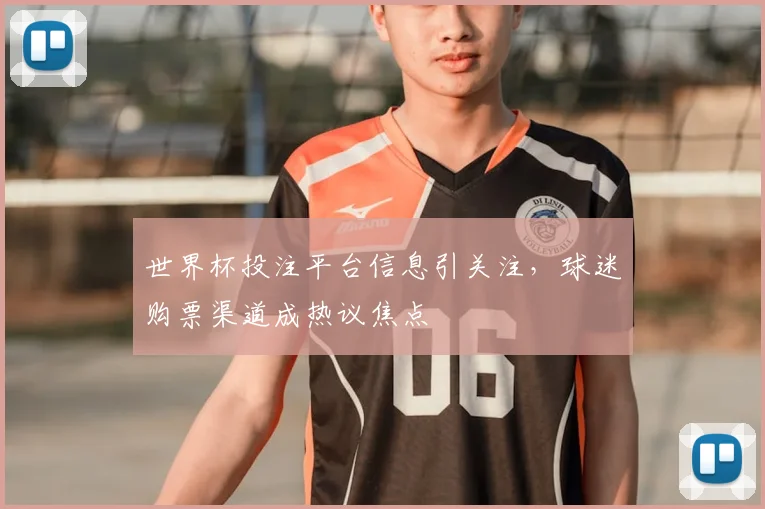 世界杯投注平台信息引关注，球迷购票渠道成热议焦点