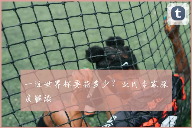 一注世界杯要花多少?业内专家深度解读