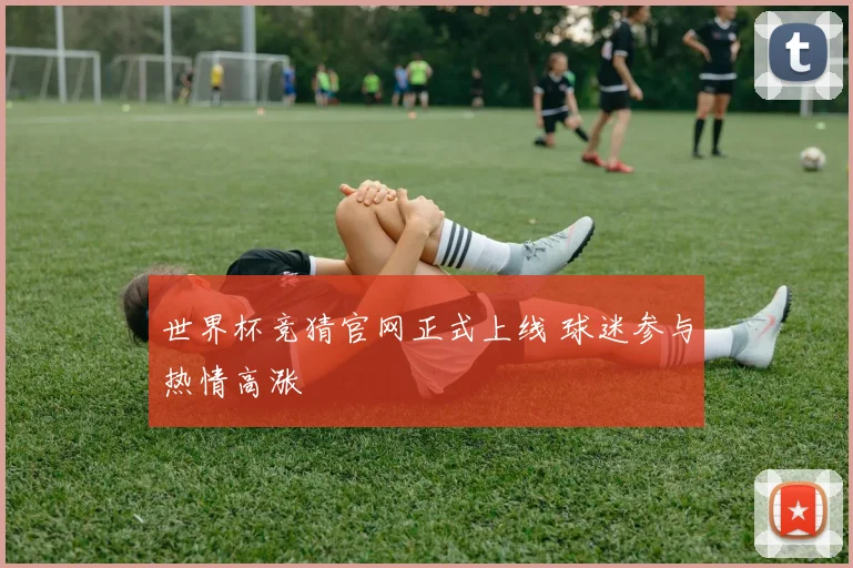 世界杯竞猜官网正式上线 球迷参与热情高涨
