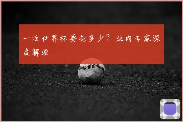 一注世界杯要花多少?业内专家深度解读