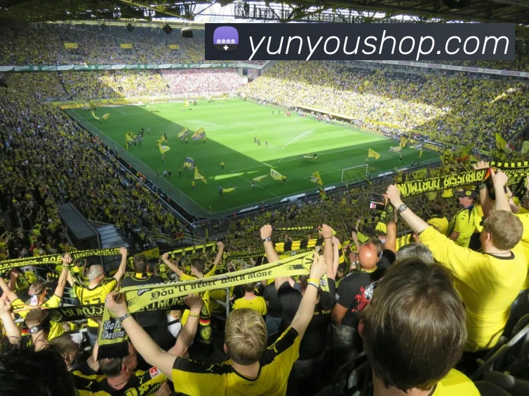 mksports官网地址品牌故事